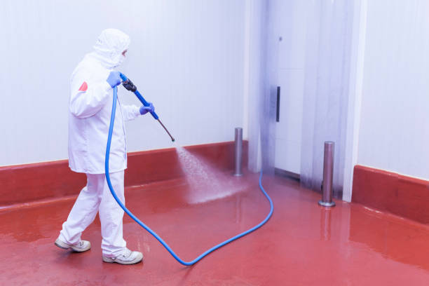Best Dumpster Area Cleaning  in Hermosa Beach, CA